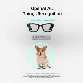 I&E G300 AI SMART GLASSES